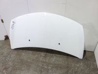 Motorhaube <br>RENAULT CLIO III (BR0/1, CR0/1) 1.2 16V